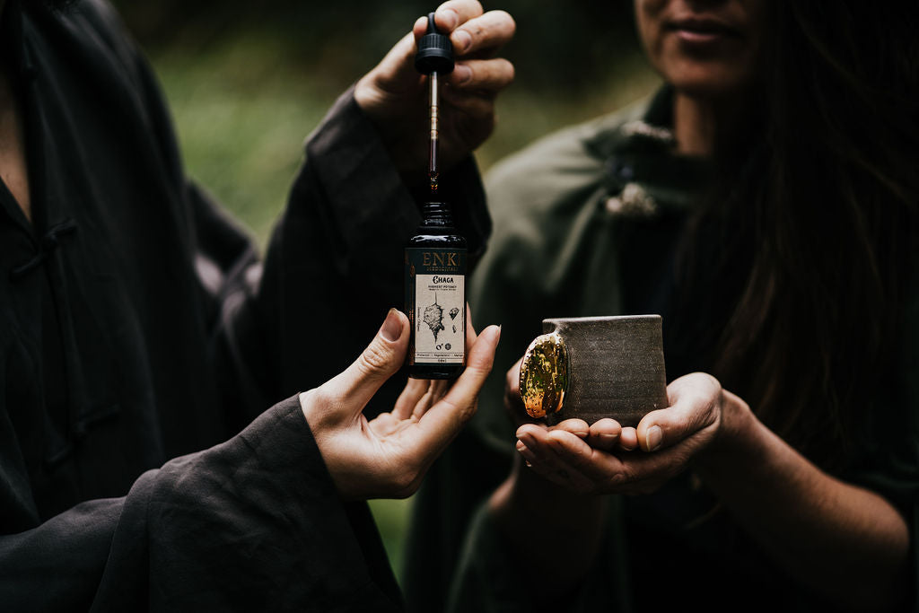Medicinal Mushroom Tincture in Miron Dropper Bottle