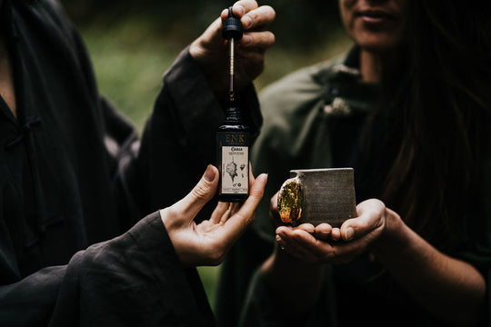 Medicinal Mushroom Tincture in Miron Dropper Bottle