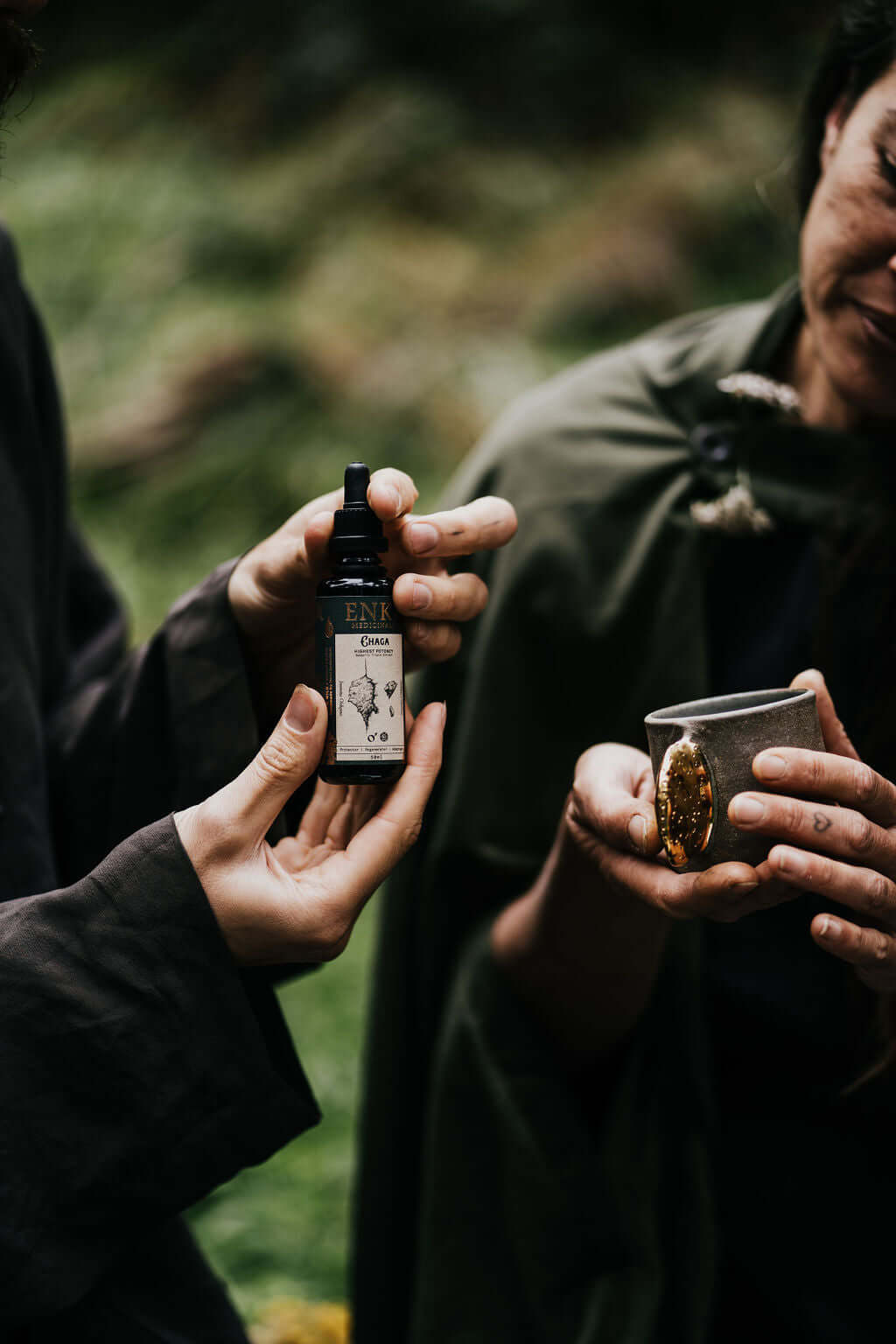 Organic Medicinal Mushroom Chaga Extract fluid