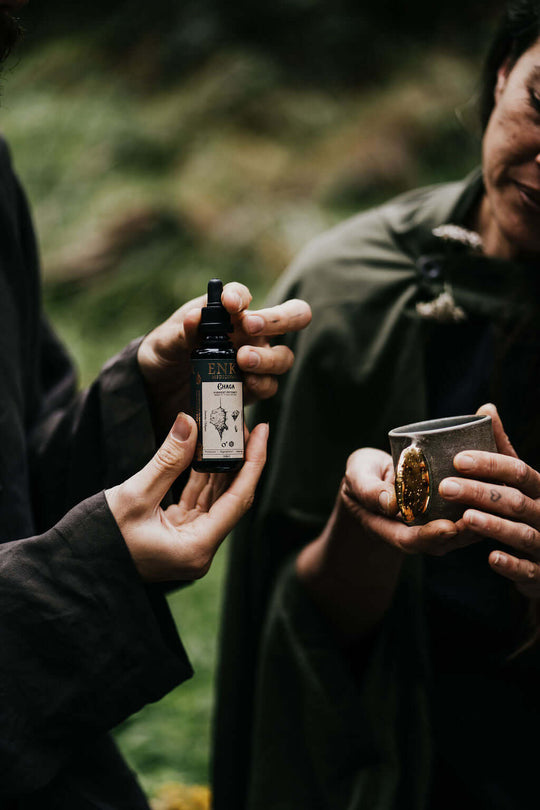 Organic Medicinal Mushroom Chaga Extract fluid