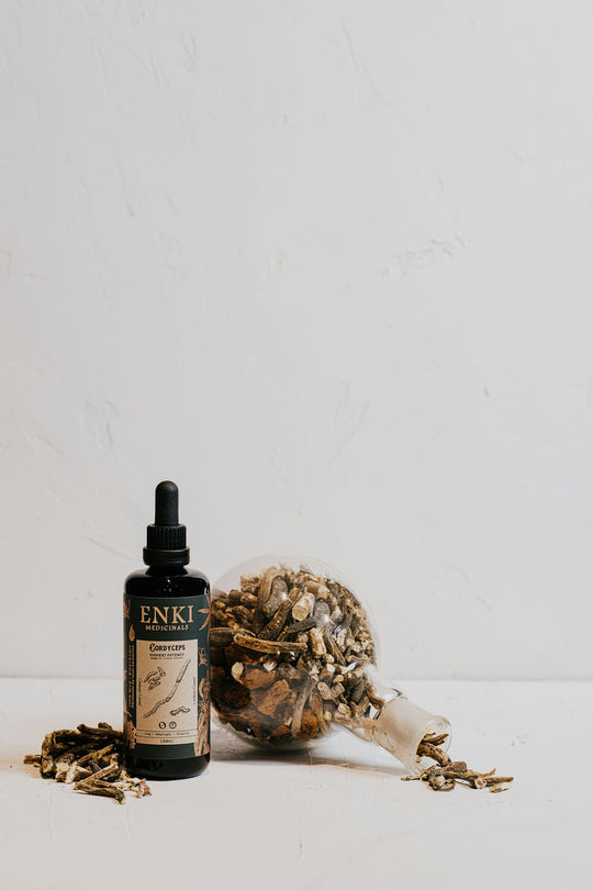 Enki Cordyceps Tonic in Miron Dropper Bottle