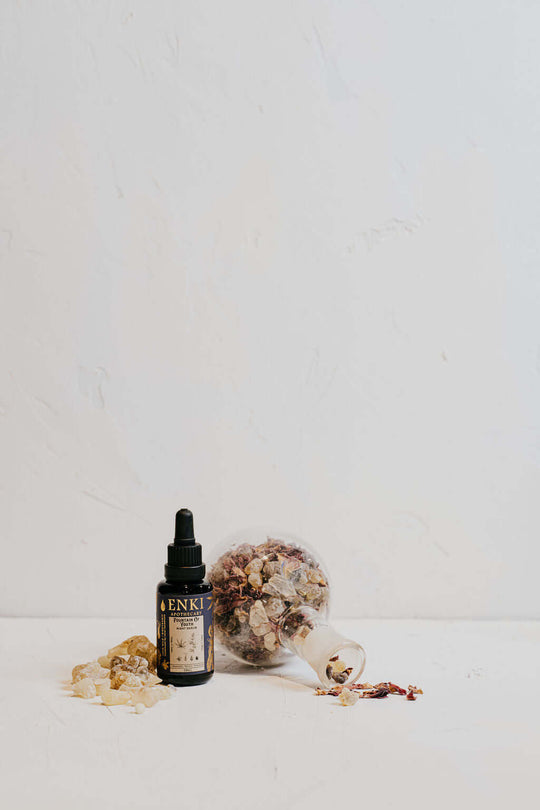 Fountain of Youth - Nutritive Night Serum