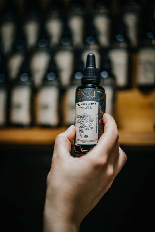 Frankincense Fluid Extract Bitters