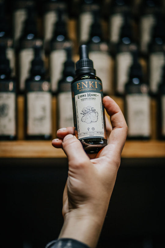 Lions Mane Liquid Spagyric Extract