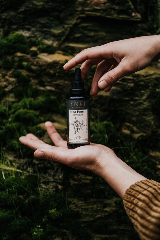 Male Energy Tincture in Miron Dropper Bottle