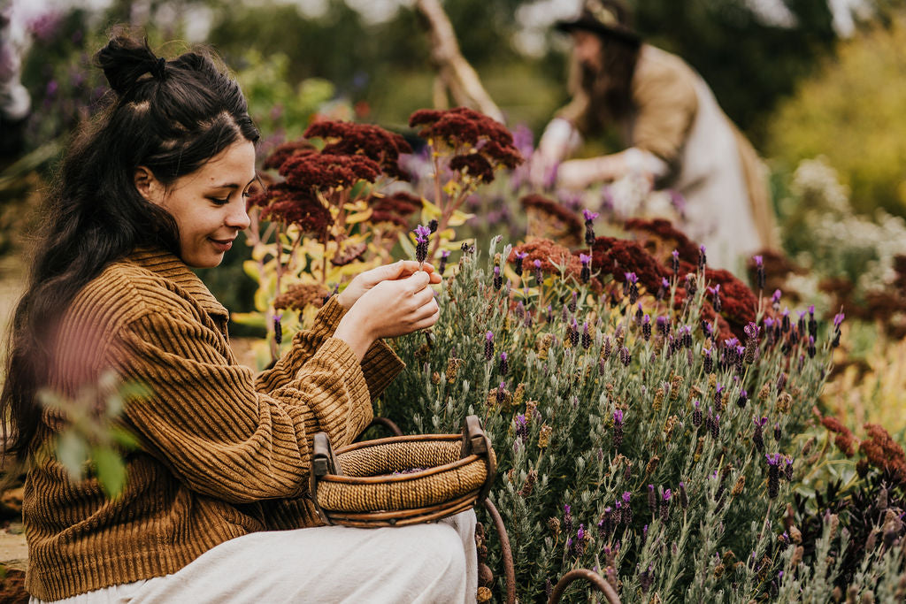 Beautiful woman in flower field picking lavender