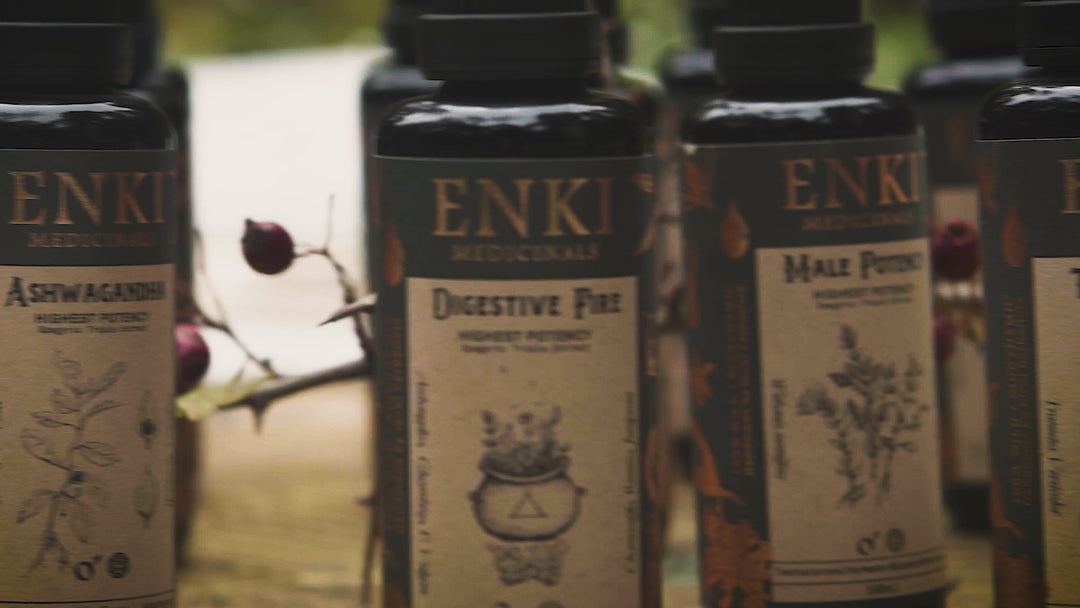 Enki Medicinal Mushroom Tincture video