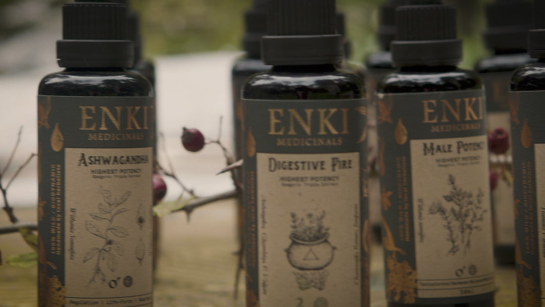 supportive tonic ashwagandha video