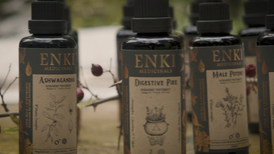 supportive tonic ashwagandha video