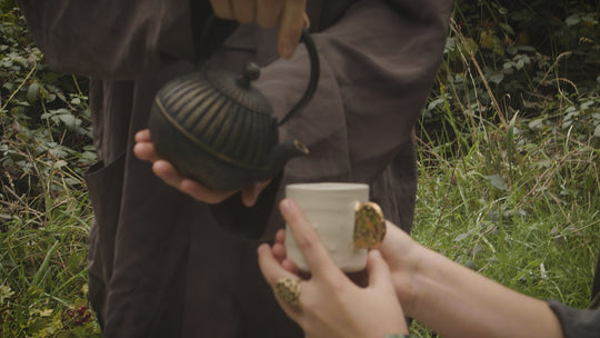 Liquid Reishi Extract video set in the forest