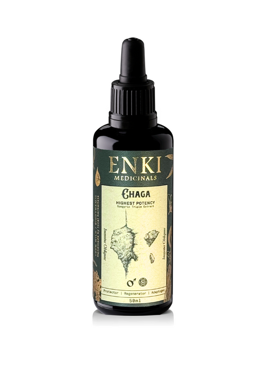 Chaga Mushroom Spagyric Tincture