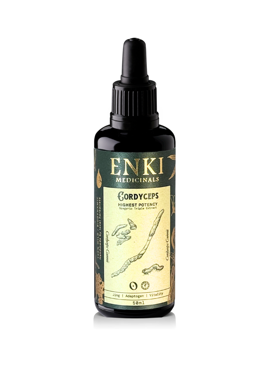 Cordyceps Mushroom Spagyric Tincture