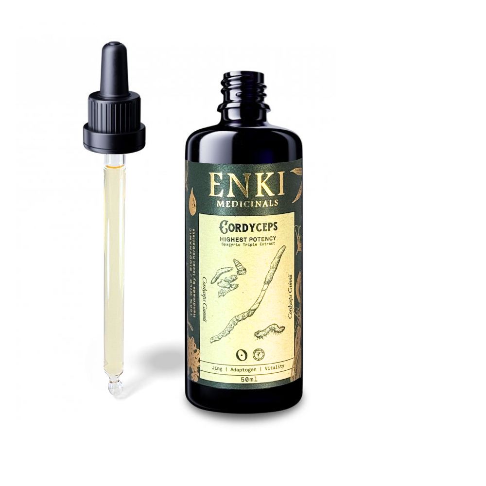 Cordyceps Mushroom Spagyric Tincture