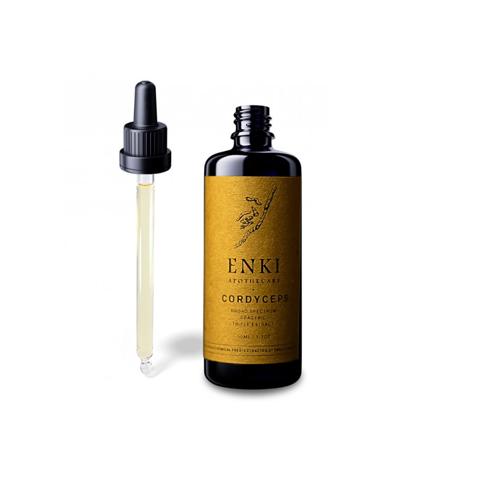 Cordyceps Mushroom Spagyric Tincture