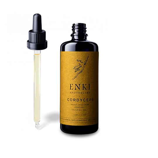 Cordyceps Mushroom Spagyric Tincture