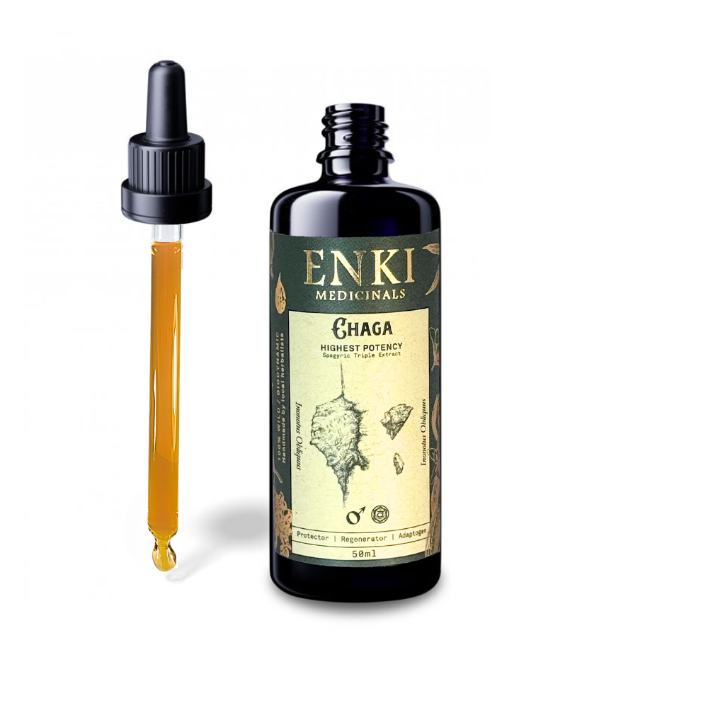 Chaga Mushroom Spagyric Tincture