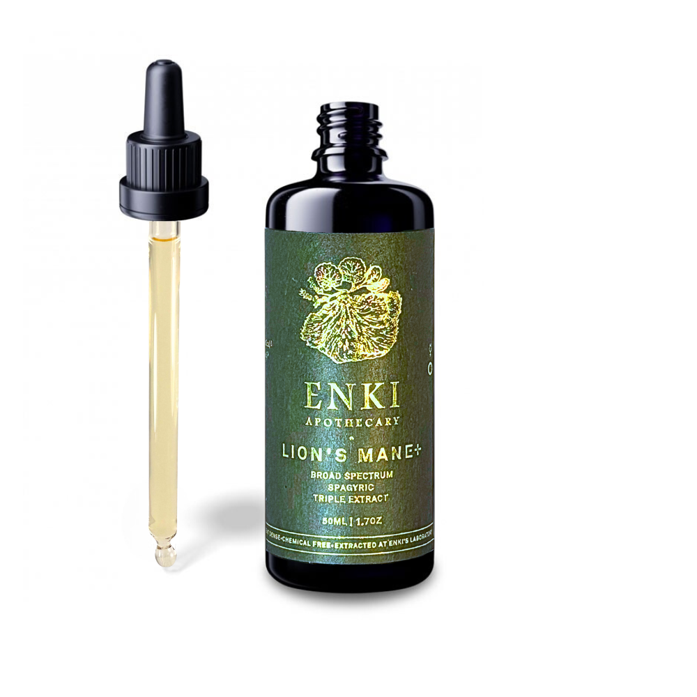 Lion's Mane Spagyric Tincture