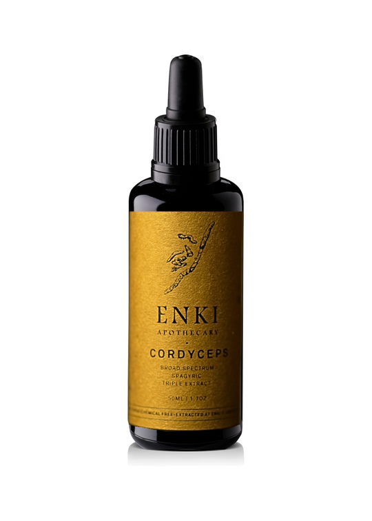 Cordyceps Mushroom Spagyric Tincture