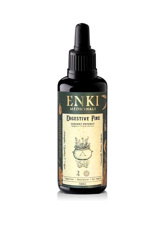 Digestive Fire Spagyric Tincture