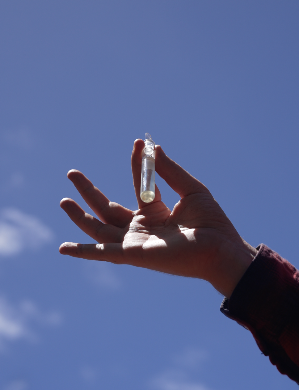 Botanical Alchemy and the Art of Spagyrics - 2 Weekends May 2026