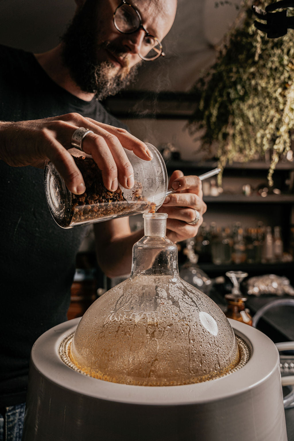 Botanical Alchemy and the Art of Spagyrics - 2 Weekends May 2026