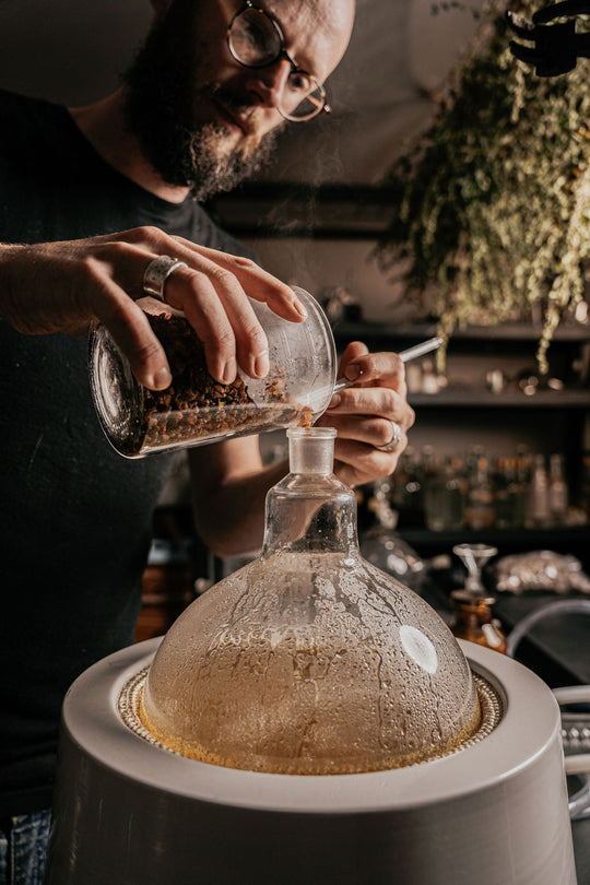 Botanical Alchemy and the Art of Spagyrics - 2 Weekends May 2026