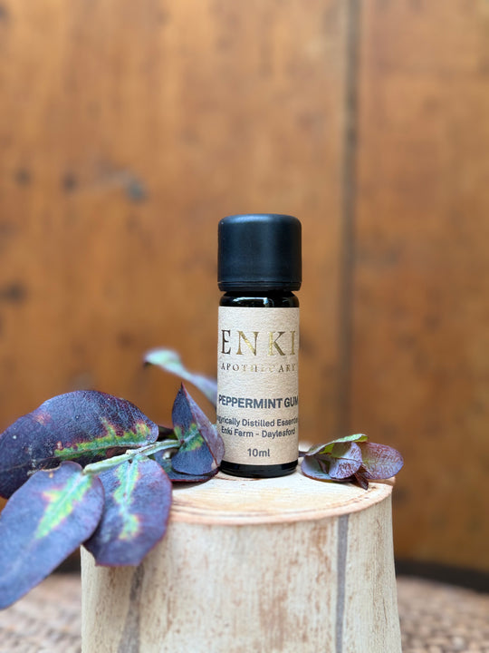 Eucalyptus Radiata (Peppermint Gum) Essential Oil