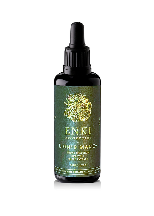 Lion's Mane Spagyric Tincture