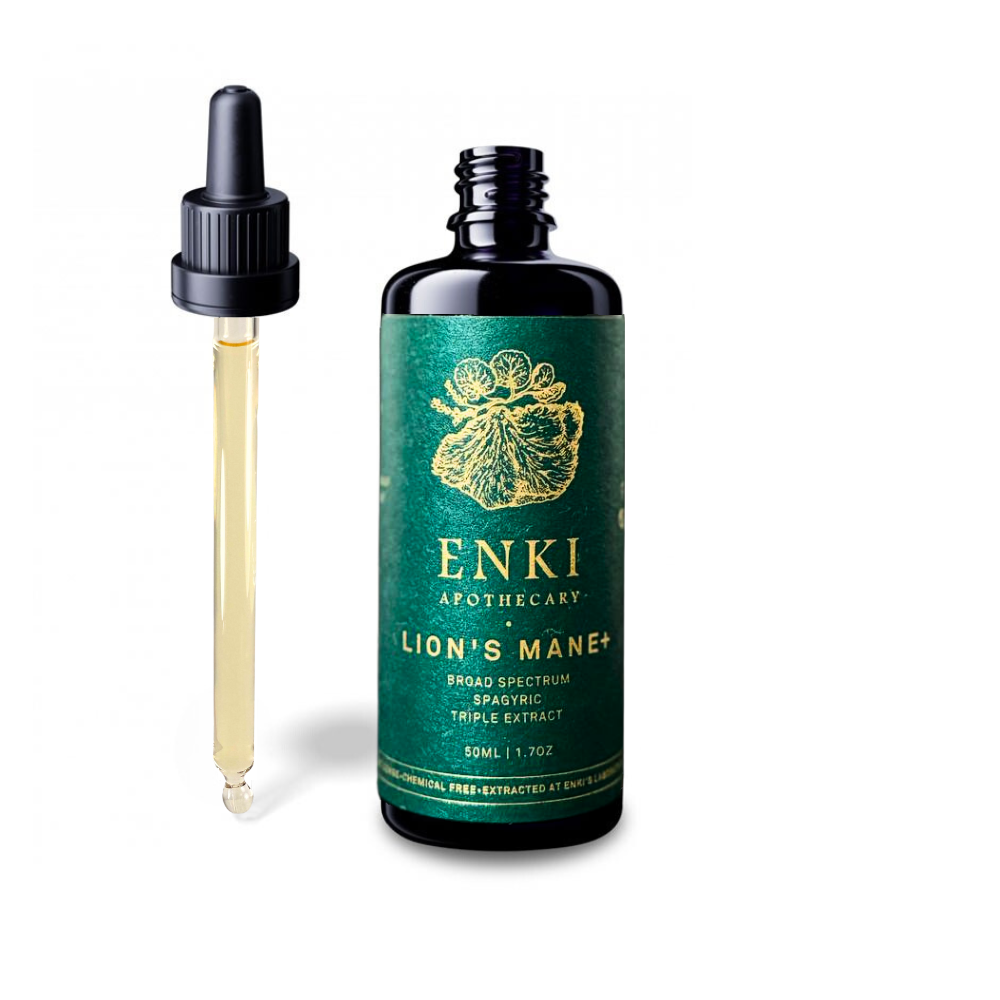 Lion's Mane Spagyric Tincture