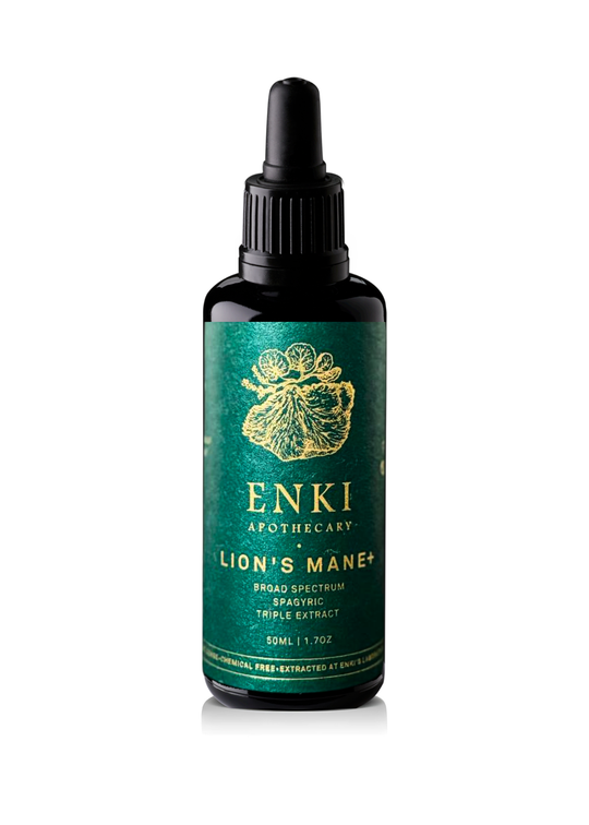 Lion's Mane Spagyric Tincture