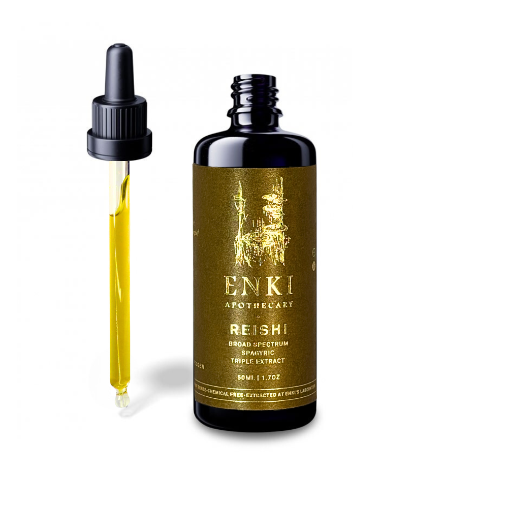 Reishi Mushroom Spagyric Tincture