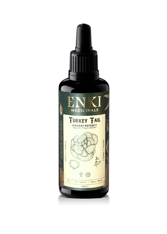 Turkey Tail Mushroom Spagyric Tincture