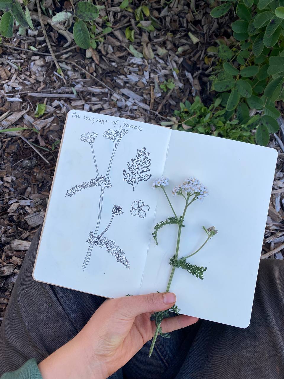Art & Nature Immersion Workshop